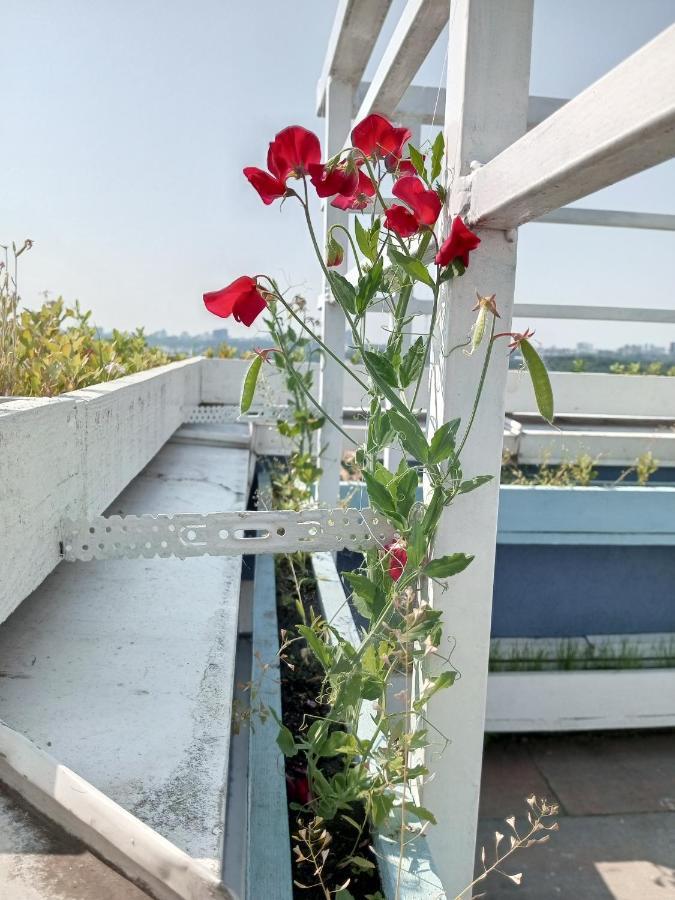 Небольшой Пентхаус С Прекрасным Видом На Город Kyiv Exterior photo